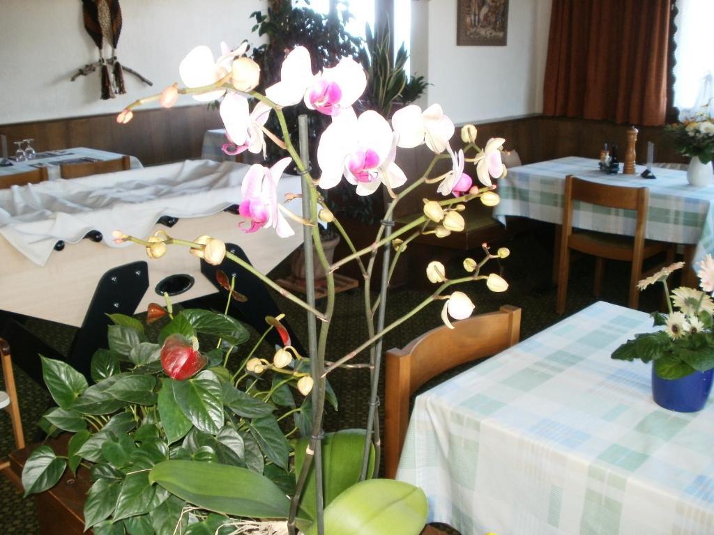 Hotel Pez Ault ديسنتس المظهر الخارجي الصورة